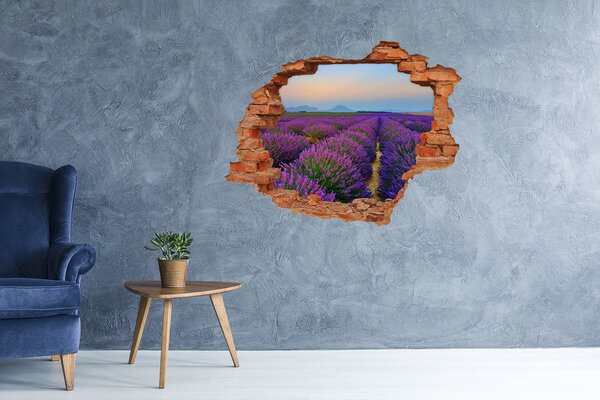 Autocolant gaură 3D Câmpuri de lavandă la soare