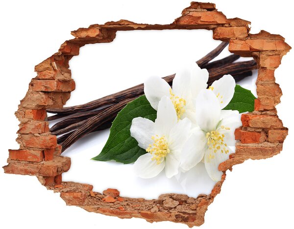 Fototapet 3D gaură în perete Jasmine și vanilie