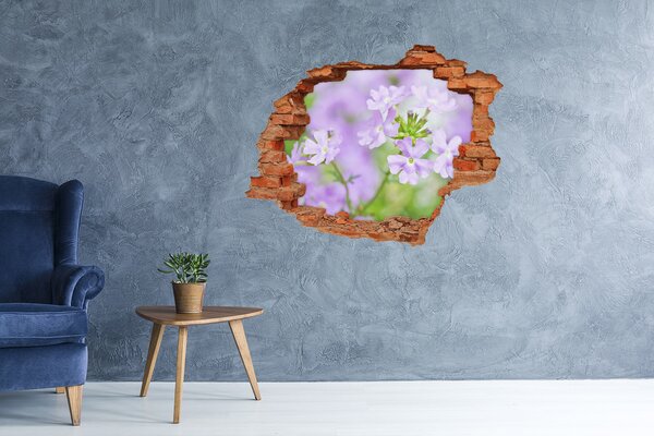 Fototapet 3D gaură în perete Un paradis al florilor în spatele zidului