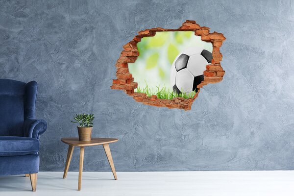 Fototapet un zid spart cu priveliște Vise de fotbal