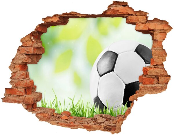 Fototapet un zid spart cu priveliște Fotbal