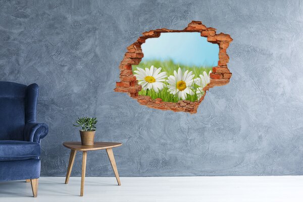 Fototapet 3D gaură în perete Flori într-o pajiște verde