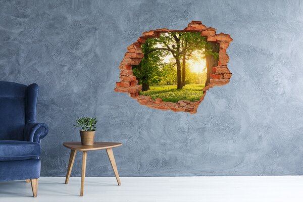 Autocolant gaură 3D Un paradis verde printre copaci