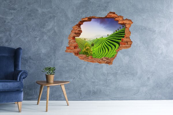 Fototapet 3D gaură în perete Terase de ceai verde