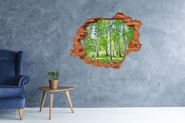 Fototapet 3D gaură în perete Pădurea verde într-o gaură în perete
