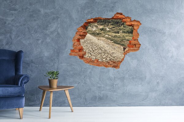 Fototapet 3D gaură în perete Un drum de țară fermecător
