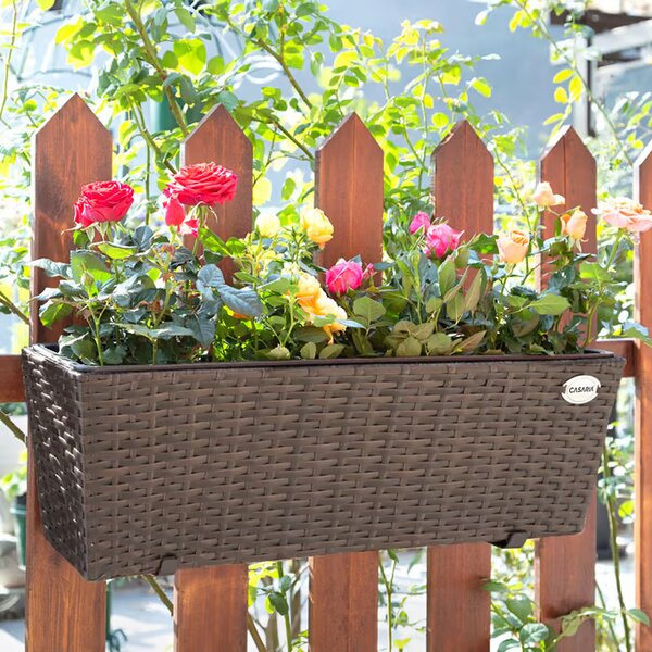 Deuba Set 2 bucăți jardiniere din ratan - maro