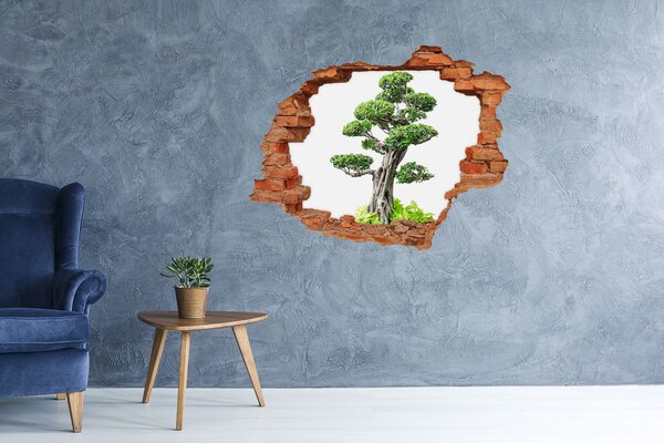 Autocolant 3D gaura cu priveliște Bonsai într-o gaură în perete