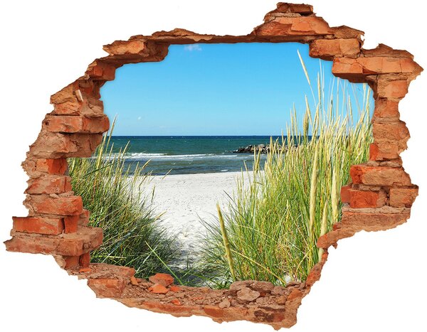 Autocolant gaură 3D dune de coastă