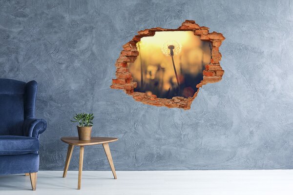 Fototapet 3D gaură în perete Păpădie în razele soarelui