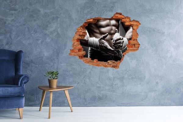 Autocolant de perete gaură 3D Campion la arte marțiale