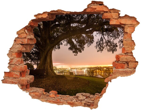 Autocolant un zid spart cu priveliște copac vechi