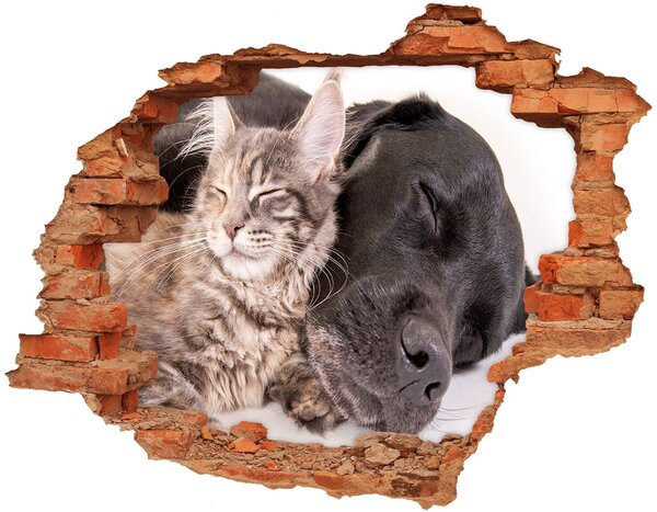 Autocolant un zid spart cu priveliște Pisici si caini