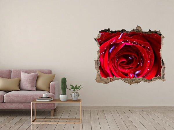 Autocolant 3D gaura cu priveliște Iluzie florală în beton