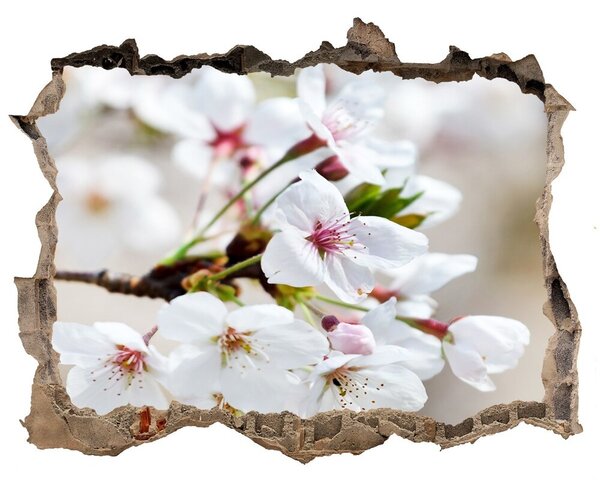 Autocolant autoadeziv gaură Flori de cireș