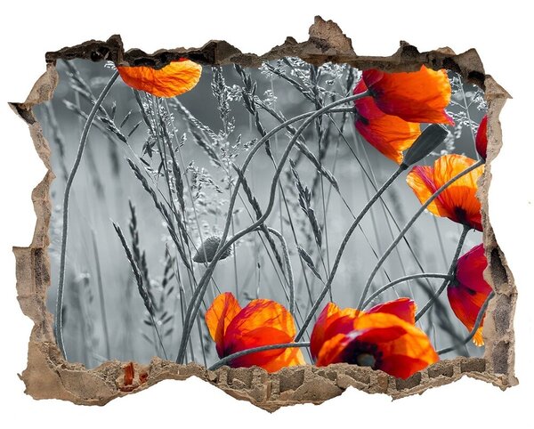 Fototapet 3D gaură în perete Wildflowers maci