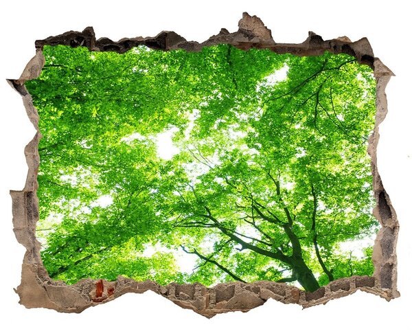 Autocolant gaură 3D Pădure verde