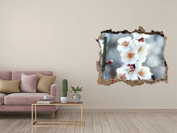 Autocolant un zid spart cu priveliște Flori de primăvară printr-o gaură în perete