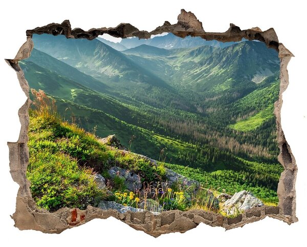 Autocolant de perete gaură 3D Zori în munții tatra