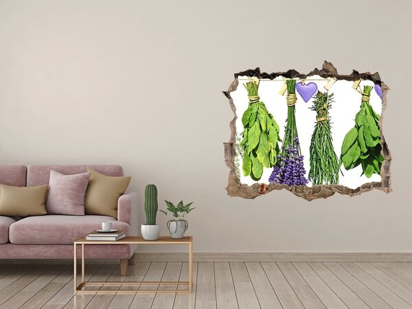 Fototapet 3D gaură în perete Grădina de plante aromatice „Gauă în perete”