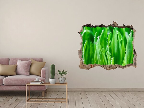 Fototapet un zid spart cu priveliște Pajiște verde cu picături de apă