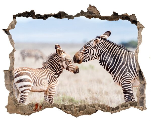 Fototapet un zid spart cu priveliște Zebre în sălbăticie