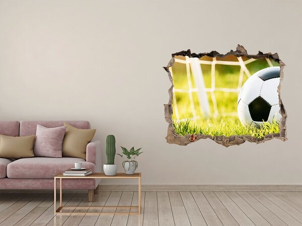 Fototapet 3D gaură în perete Gol pe teren