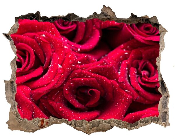 Autocolant 3D gaura cu priveliște Picaturi pe trandafiri