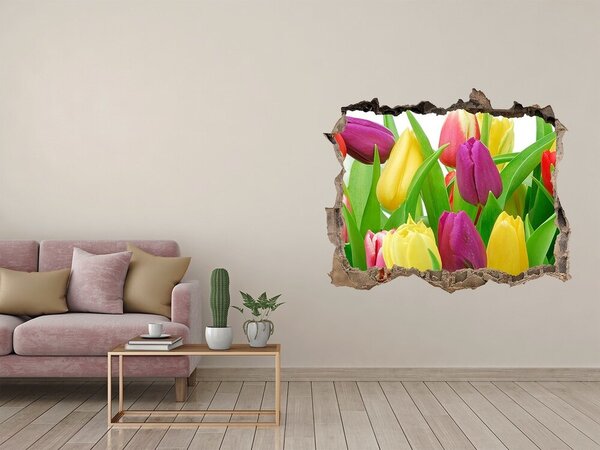 Fototapet 3D gaură în perete Un paradis al florilor cu lalele