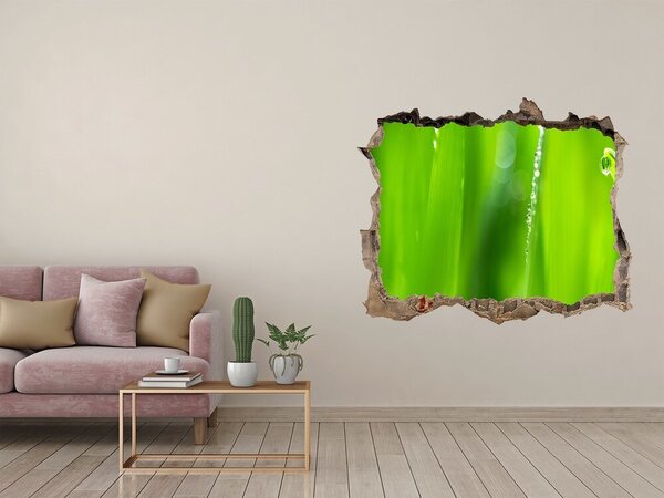 Fototapet 3D gaură în perete Pajiște verde cu picături de apă
