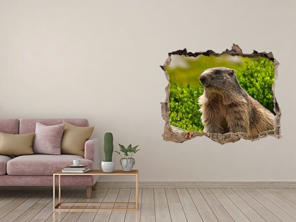Autocolant de perete gaură 3D Marmota în sălbăticie