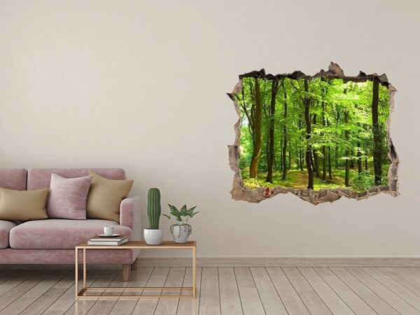 Fototapet 3D gaură în perete Pădurea verde în razele soarelui