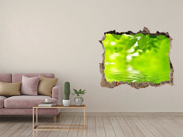 Autocolant gaură 3D Oază verde cu apă