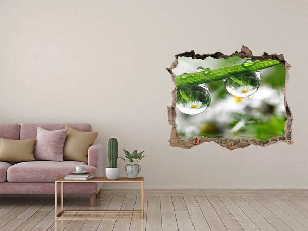 Autocolant de perete gaură 3D Oază florală cu picături de apă