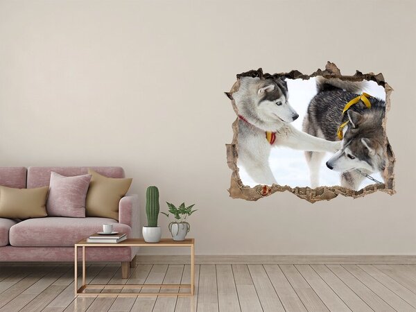 Fototapet 3D gaură în perete Husky siberian în acțiune