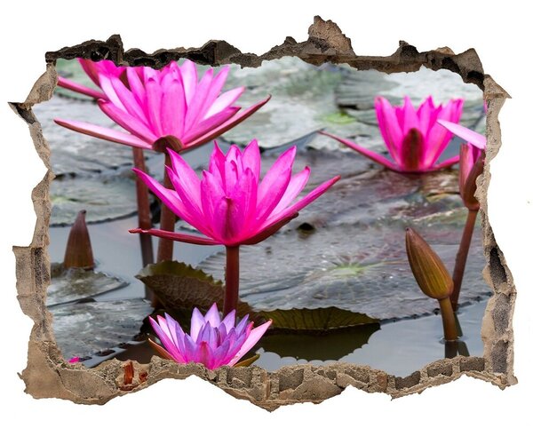 Fototapet un zid spart cu priveliște Floare de lotus