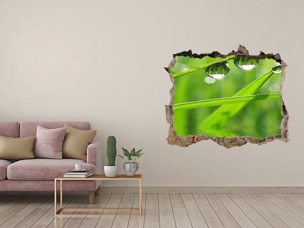 Fototapet 3D gaură în perete Oază verde cu picături de apă