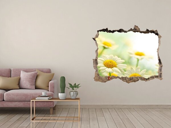 Autocolant gaură 3D Un paradis al florilor în spatele zidului
