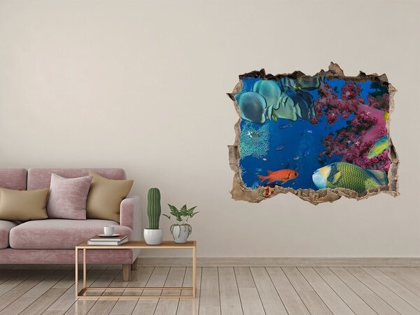 Fototapet 3D gaură în perete Paradisul coralilor subacvatici