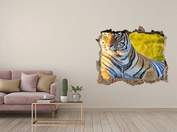Fototapet 3D gaură în perete Tigru în habitatul său natural