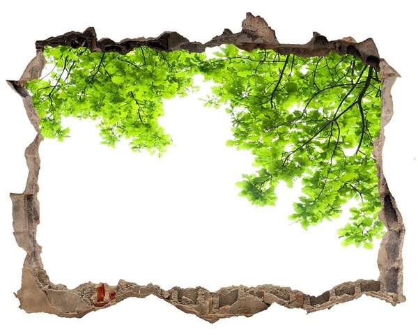 Autocolant 3D gaura cu priveliște Frunze de stejar