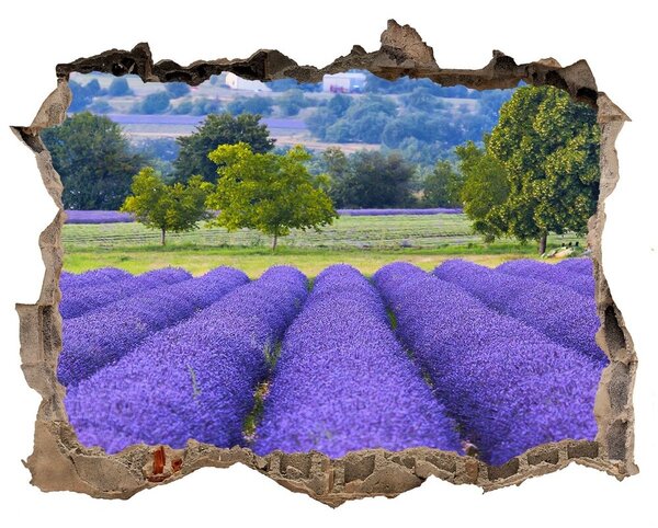 Autocolant de perete gaură 3D Câmpuri de lavandă în Provence