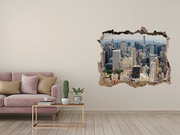 Fototapet 3D gaură în perete Vedere a orașului New York