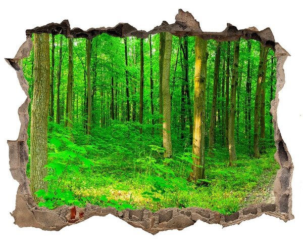 Autocolant gaură 3D Copaci în pădure