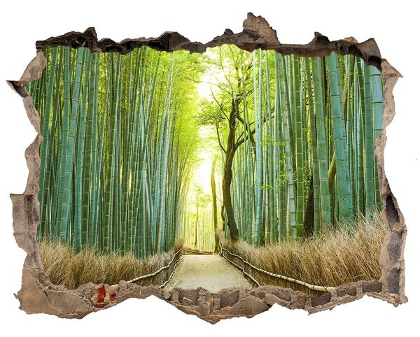 Fototapet 3D gaură în perete Pădure de bambus