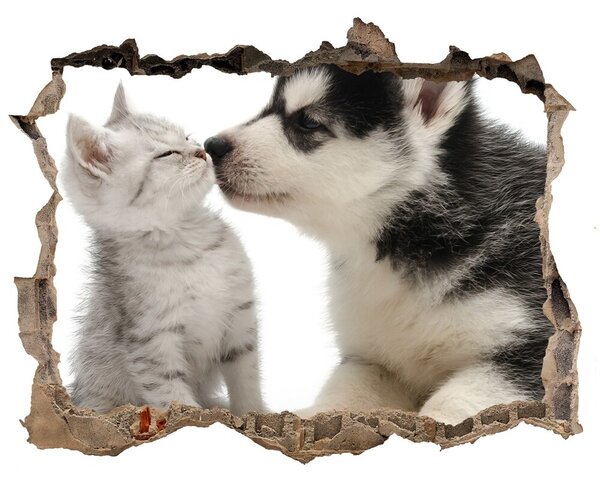 Autocolant un zid spart cu priveliște Câine și pisică