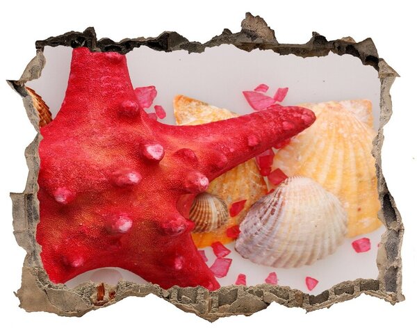Autocolant autoadeziv gaură Starfish și scoici
