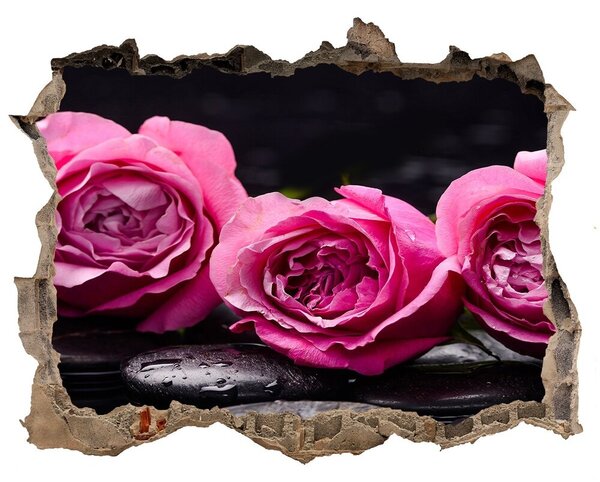 Autocolant de perete gaură 3D Trandafiri roz