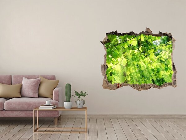 Fototapet 3D gaură în perete Pădurea verde în razele soarelui