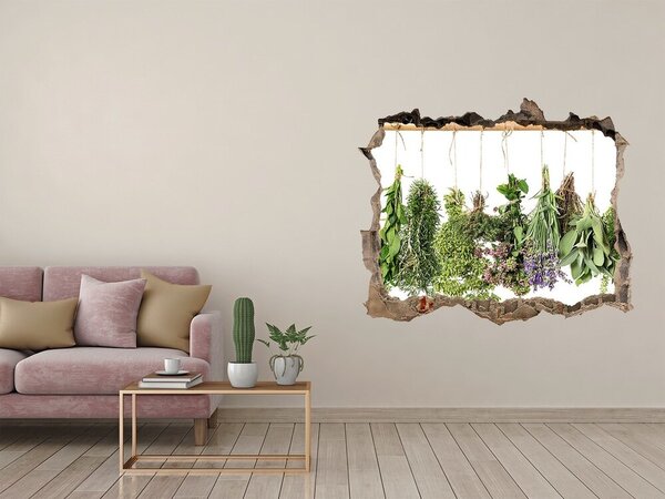 Autocolant 3D gaura cu priveliște Grădina de plante aromatice „Gauă în perete”